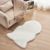1pc Fluffy Imitation Wool Area Rug, Suede Fleece Bottom Long Imitation Wool Rug, Acrylic 80% Polyester 20%, 23.62*35.43inch, Living Room Bedroom Rug,
